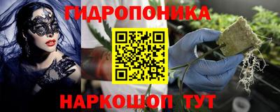 PSILOCYBIN Заволжье