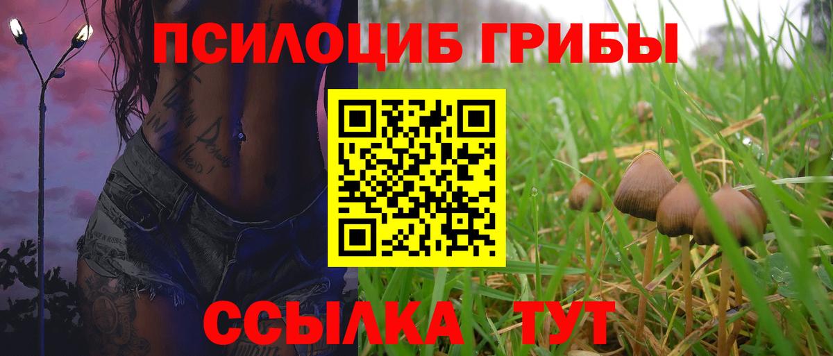 Галлюциногенные грибы прущие грибы Можга