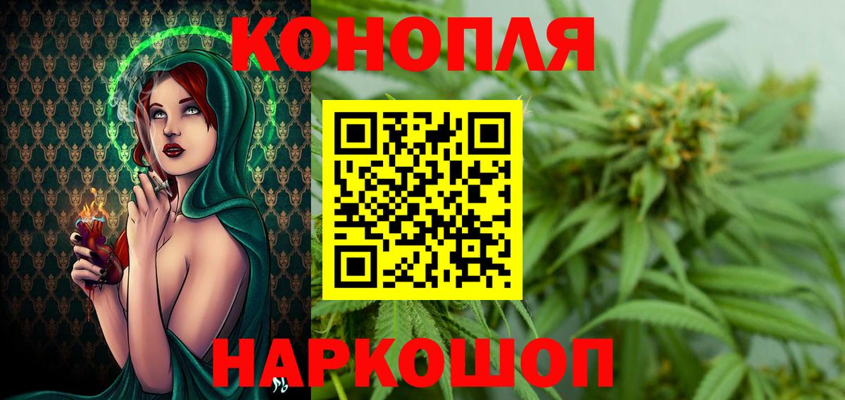 Конопля гибрид Можга